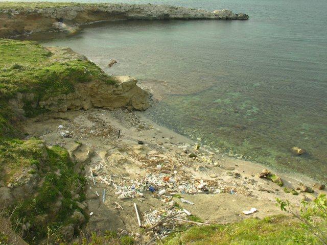 DSCN8868_p
