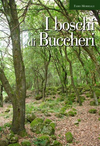 I boschi di Buccheri