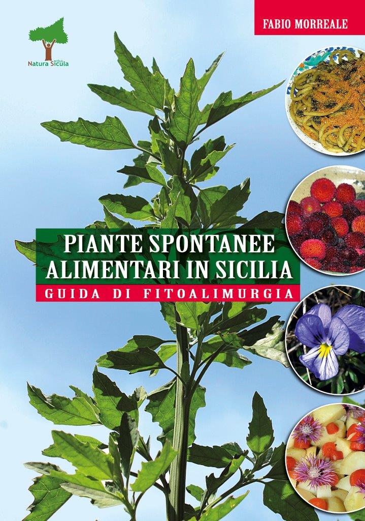 fito2edizione