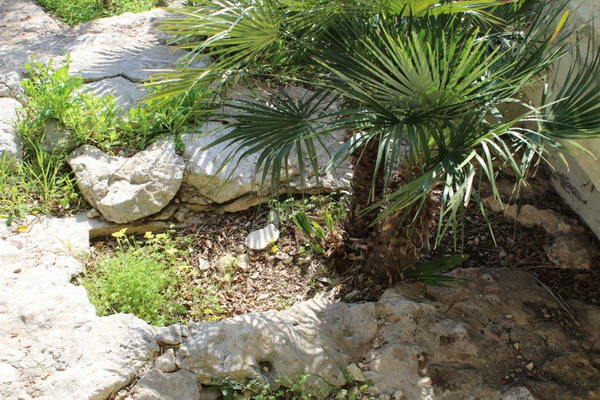 IMG 0535