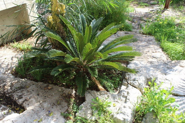 IMG 0538
