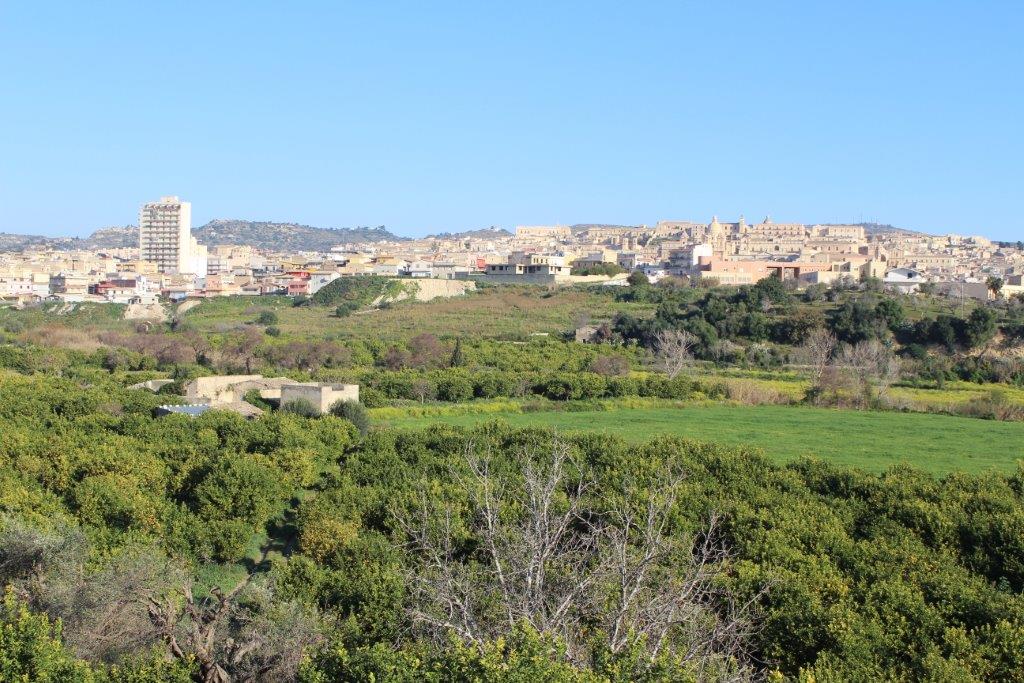 grattacielo di noto2