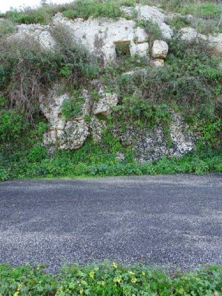 Necropoli nord-ovest attraversata dalla strada asfaltata Necropoli nord-ovest attraversata dalla strada asfaltata